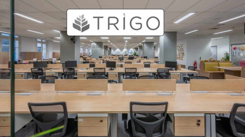 Grupo Trigo, Escritório, Mesas, Cadeiras, Logotipo,