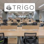 Grupo Trigo Abre Vagas Para Para Auxiliar De Planejamento, Analista, Estágio E Mais 9 Cargos No Rj E Home Office 13 Grupo Trigo, Escritório, Mesas, Cadeiras, Logotipo,