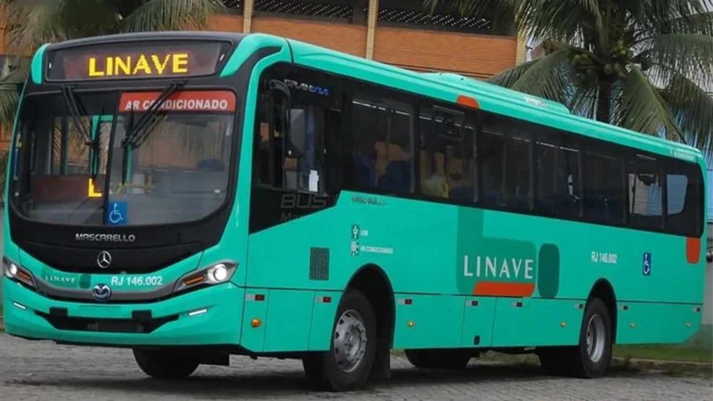 Linave Transportes, Ônibus,
