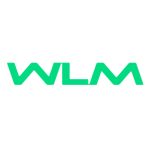 Wlm Comércio Anuncia Vagas Para Aprendiz, Consultor De Negócios, Auxiliar De Mecânico, Entre Outras No Rj 12 Vagas