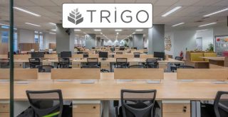grupo trigo, escritório, mesas, cadeiras, logotipo,